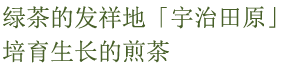 绿茶的发祥地「宇治田原」培育生长的煎茶