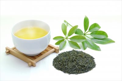 高級宇治茶(抹茶・緑茶)は【ふじや茶舗】の通販で
