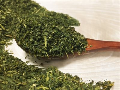 粉末タイプ vs ティーバッグタイプ~定番の茶葉と何が変わるの?~
