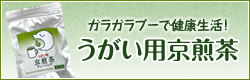 ガラガラプーで健康生活！うがい用京煎茶